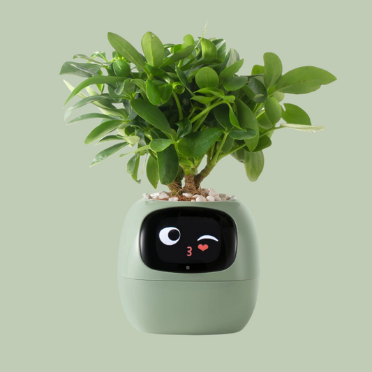 Kejja | VerdeGlow – Self-Watering Smart Plant Pot | Automatic Irrigation | Modern Indoor Planter